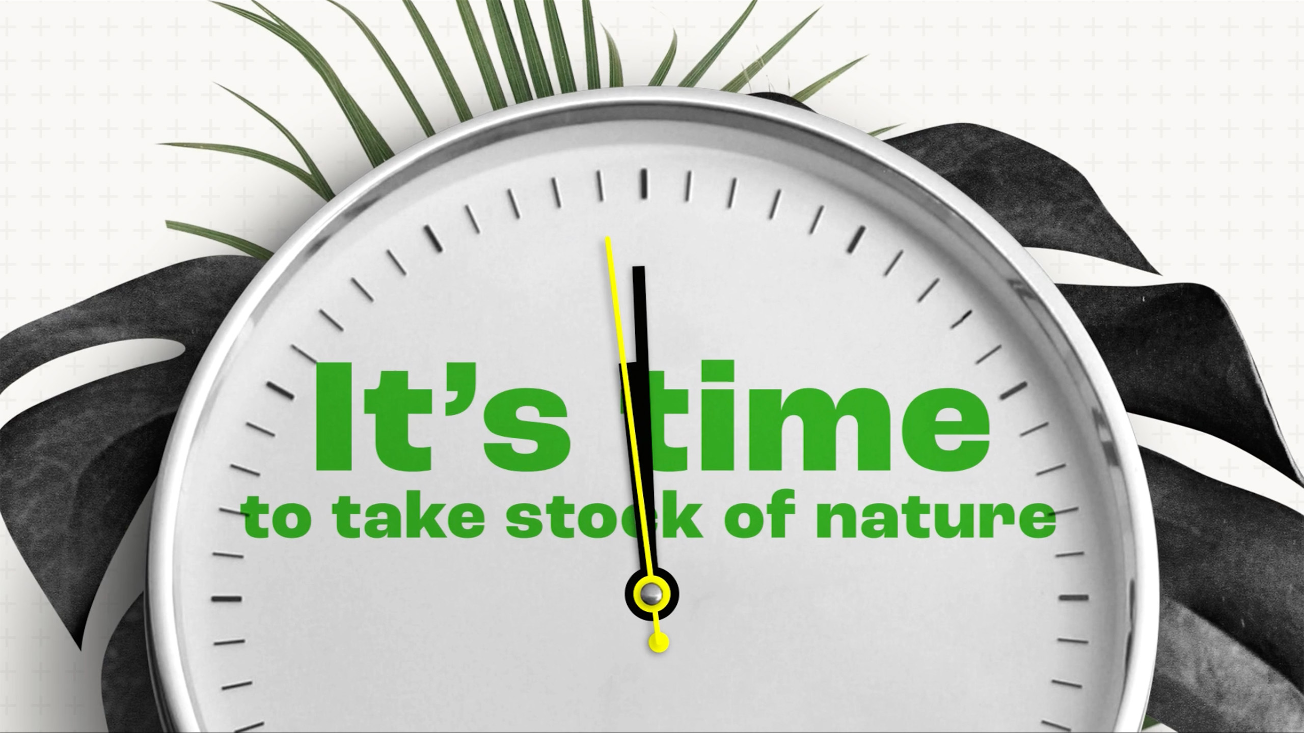 Take Stock of Nature